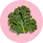 Diindolylmethane (DIM)